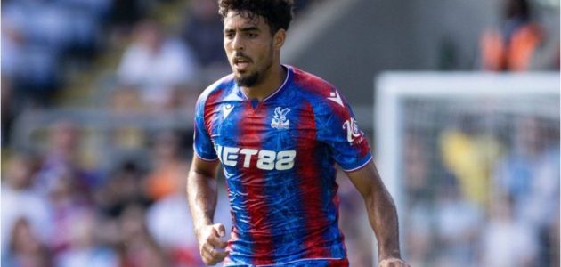 شادي رياض مرشح للعودة إلى الليجا